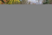 OTFL Gallery Image